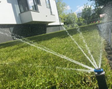 nawadnianie ogrodu