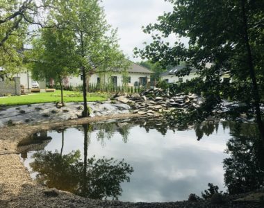 Firmy ogrodnicze w Poznaniu