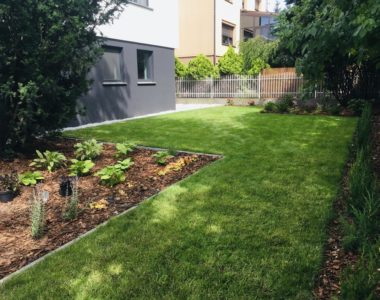 Pielęgnacja ogrodów w Poznaniu