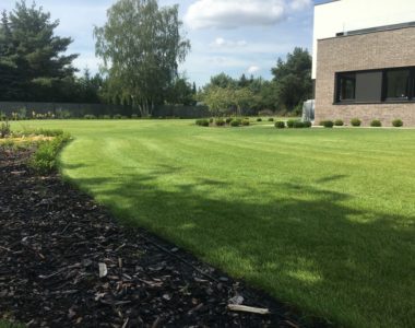 Zakładanie ogrodów w Poznaniu